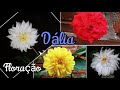 Floração da dália branca, amarela+ rosa vermelha é alfazema, atualização!!