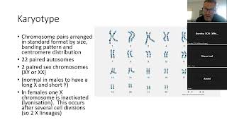 2024 5 Genetics in paediatrics I