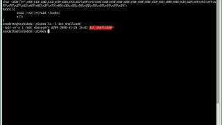 Shellcode on AmebaFramework