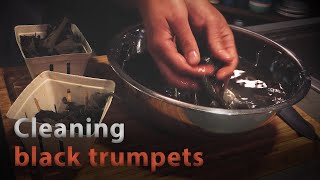 Cleaning black trumpets