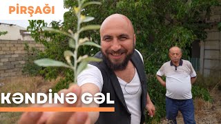 Pirşağı Kəndinə Gəl | 2-ci hissə