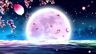 Background Ultra HD 4K(No Sound) Beautiful mid autumn peach blossom under the moon night screensaver