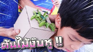 แกล้งซิลค์ !! ต้นไม้งับหู !! ตอนที่ 2 พี่เซนจะรอดมั๊ย.. ( Venus Flytrap ) - DING DONG DAD