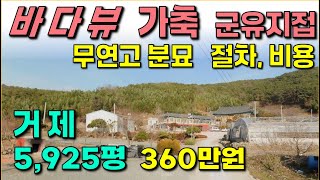 거제..5,925평 / 바다 가까운 싼임야,, 가축사육가능,, 평평한 군유지 접 / 무연고 묘지 처리절차, 비용