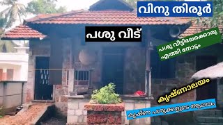 വിനു തിരൂരിന്റെ പശുവീട്ടിലേക്ക് ഒരു എത്തി നോട്ടം