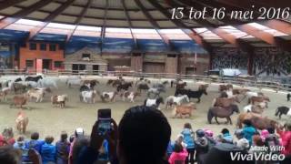 13 tot 16 Mei 2016|PonyParkCity