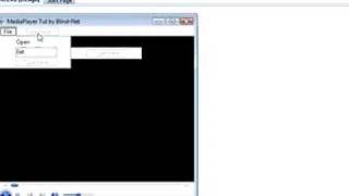 Visual Basic Media Player ( Easy )