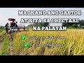 Sa 1 Hectare Na Palayan Magkano Ang Gastos At Kita | Tanim Hindi Sabog | Abucay Bataan