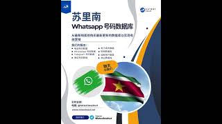 苏里南 WhatsApp 号码数据库 | Latest Lead