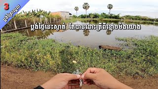 ស្រែល្មូល Ep003 បានត្រីពីខ្មោចម៉ង់យោង ប្លង់ថ្ងៃនេះរាងស្ងាត់