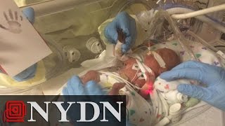 Mother Saves 1-Pound Baby Born on Cruise Ship