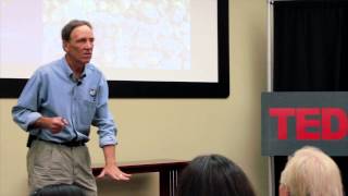 Seeds will Save Us:  Bill McDorman at TEDx Tucson 2013
