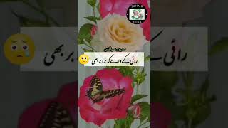 Peer Ajmal Raza Qadri Emotional Bayan Status🥺Islamic Bayan WhatsApp Status💖#islamic📿#2022❣️#shorts