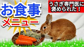 【うさぎ専門医に褒められた❗】食事【危険な食生活チェック⚠️】