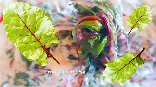 Բազուկի ճավ տապակած տերևներ из листьев свеклы Delicious Beet leaves