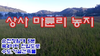 순천시 농지 5억8천8백만원/ 상사면 마륜리 차량출입이 편리한 경지정리 농지 2,994㎡(약905평)