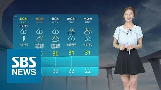 오늘은 초복, 우산 챙기세요…출근길 안개 주의 / SBS