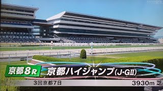 京都ハイジャンプの本馬場入場