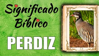 Perdiz Significado Bíblico | ¿Qué Significa Perdiz en la Biblia? 🙏