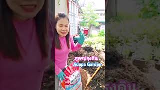 #ปลูกผักกินเองในกระถางสูตรปรุงดินปลูกผักงาม #jidapagarden #gardening