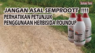 Cara Menggunakan Roundup Untuk Membasmi Rumput Liar || Dosis Roundup Per Tangki