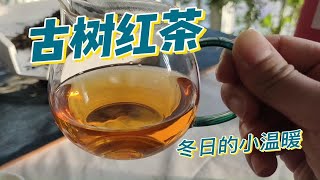 古树红茶：冬日里的小温暖