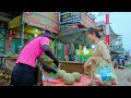 harvesting the super large melon garden goes to market sell cooking daily life tieu lien