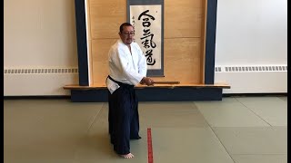 Naka Ima Greg Angus - Aikido Movements with Bokken