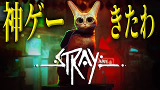 【これは神ゲー】かわいい猫で冒険するゲームが楽しすぎる！【Stray (ストレイ) 実況】#1