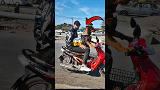 কুকুর বাইক চালায় 😱 dog ride a bike #shorts #dog #rider