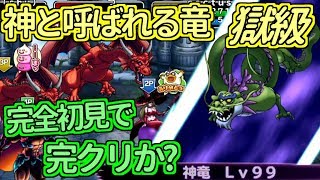 【どこパレ】激闘！神と呼ばれる竜 獄級！初見で完クリできたか！？【どこでもモンパレ】