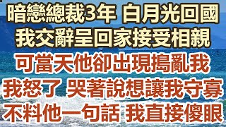 暗戀總裁3年 白月光回國！我交辭呈回家接受相親！可當天他卻出現搗亂我！我怒了 哭著說想讓我守寡麼！不料他一句話 我直接傻眼！#幸福敲門 #為人處世 #生活經驗 #情感故事