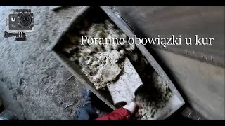 ㋡ Poranne obowiązki u Kur ❇ Kamera na głowie #1 ✔