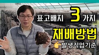 표고버섯배지 종류별 재배방법_하우스 환경에 맞게 선택하세요