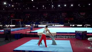 AGHARZAYEV Murad (AZE) - 2019 Artistic Worlds, Stuttgart (GER) - Qualifications Pommel Horse