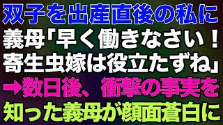 双子を出産直後の私に義母「早く働きなさい！寄生虫嫁は役立たずね」⇒数日後、衝撃の事実を知った義母が顔面蒼白に…