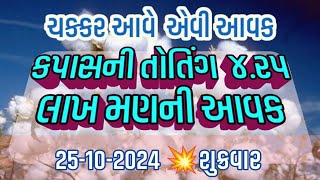 અધ ધ ધ કપાસની આવક| live cotton trading price today in RAJKOT APMC, kapas Na bhav, October 25, 2024