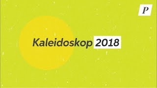 Kaleidoskop Pinter Politik 2018