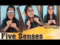 How to Teach Human Sense Organs | Sense Organs Activity for Kids