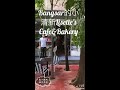 马来西亚美食｜bangsar的小清新lisette s cafe u0026bakery