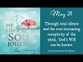 MAY 28 - Daily meditations from Sri Chinmoy's book: My Life's Soul-Journey