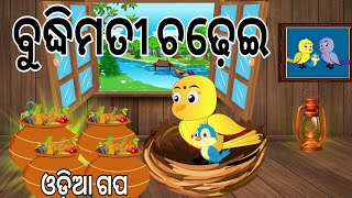 ବୁଦ୍ଧିମତୀ ଚଢେଇ || Budhimati Chadhei || Odia Birds Stories || Moral Stories ||Jungle Toons