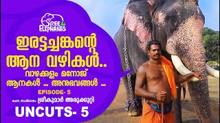 താരങ്ങൾ ആനകൾ തന്നെ.. | VAZHAKULAM MANOJ