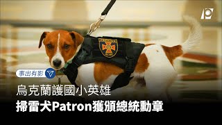 【#P有影】烏克蘭護國小英雄 掃雷犬Patron獲頒總統勳章