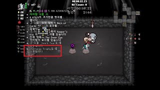 TMTRAINER: Lesson Learned | Damocles Random Run #79 【The Binding of Isaac: Repentance】