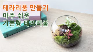 아주 쉬운 기본형 이끼 테라리움