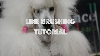 Line Brushing Tutorial