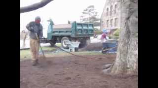 Air-spading \u0026 mulching the Newton Centre copper beech tree