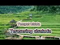 EXPLORE TEMPAT WISATA TERASERING CISALADA BOGOR❗RASA BALI