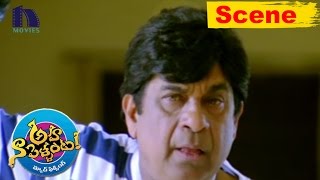 Brahmanandam and Thagubothu Ramesh Superb Comedy Scene - Aha Naa Pellanta Movie Scenes